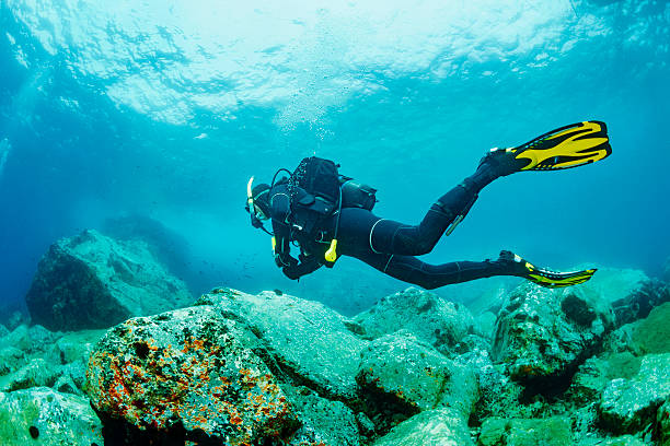 Bodrum'da Dalış Eğitimi Keşfet Öğren Dalışa Geç